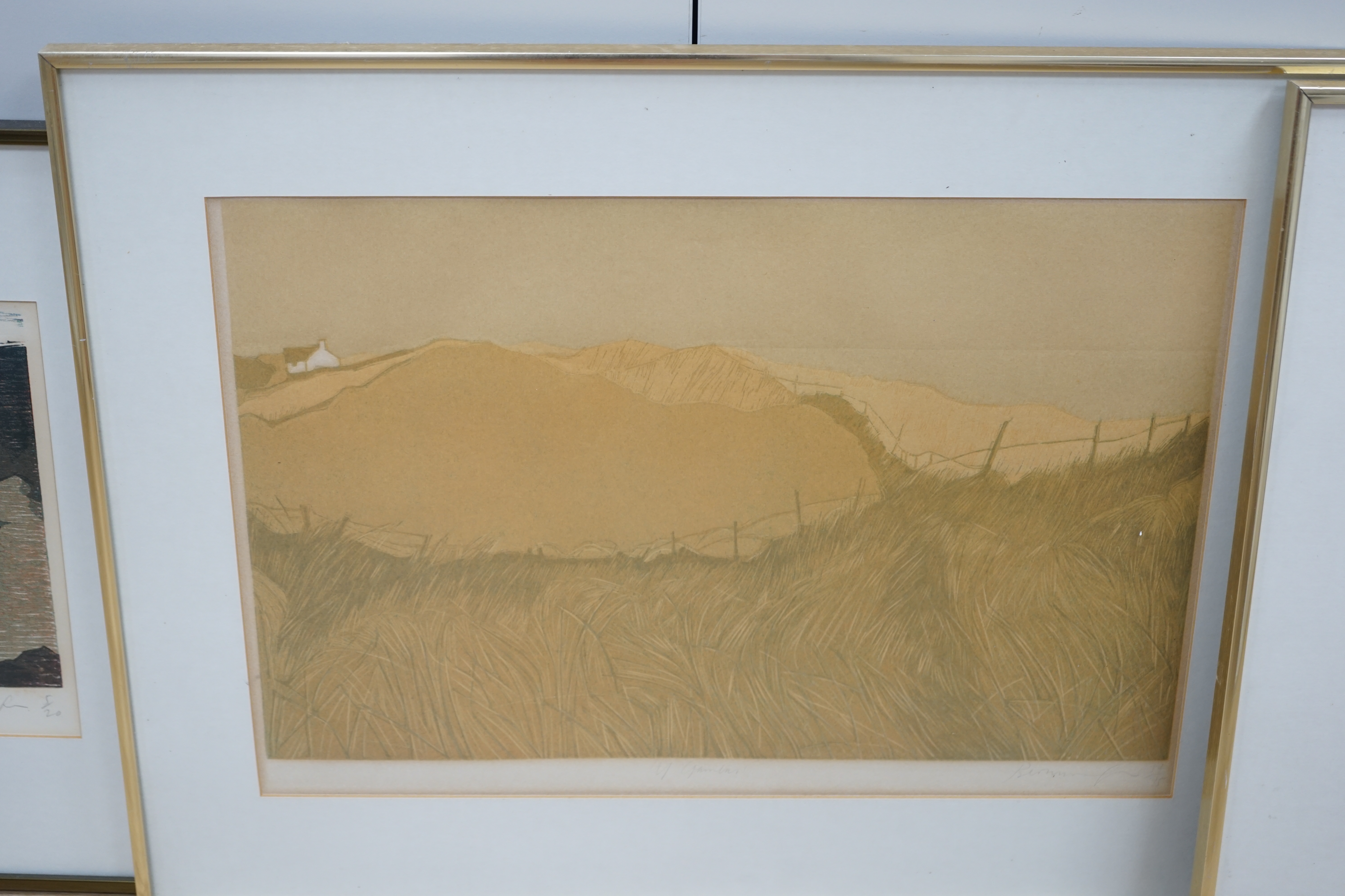 Four pencil signed colour etchings, including 'West Country III', by Barbara Newcomb, limited edition 24/100 and an artist's proof example, indistinctly signed, largest 54 x 71cm. Condition - poor to fair, discolouration